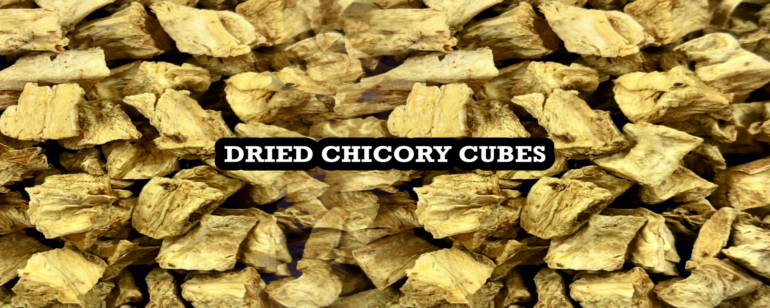 dried chicory